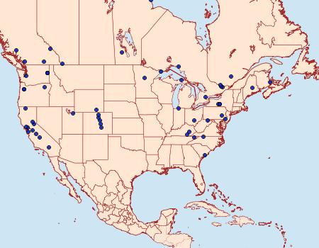 Distribution Data for Zelleria haimbachi