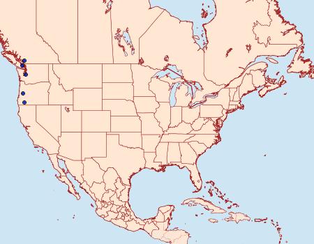 Distribution Data for Zelleria pyri