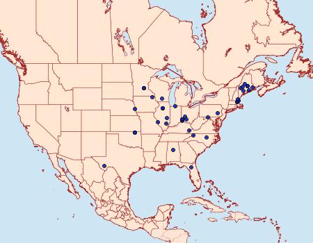 Distribution Data for Argyresthia austerella