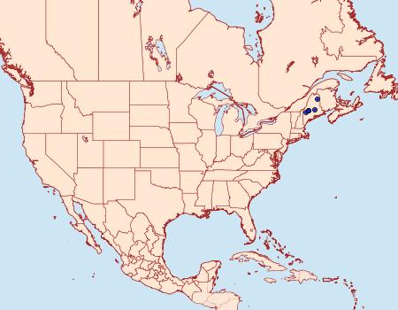 Distribution Data for Argyresthia belangerella