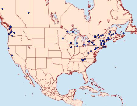 Distribution Data for Argyresthia calliphanes