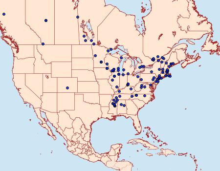 Distribution Data for Argyresthia oreasella