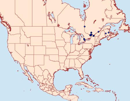 Distribution Data for Acrolepiopsis assectella