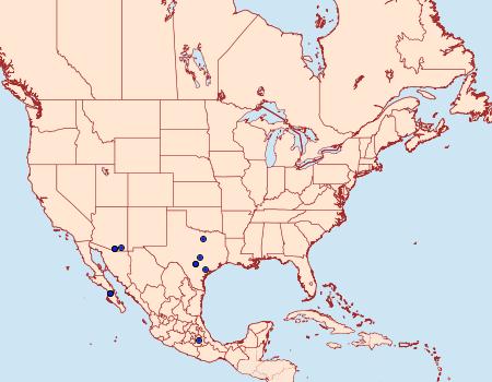 Distribution Data for Neoheliodines hodgesi