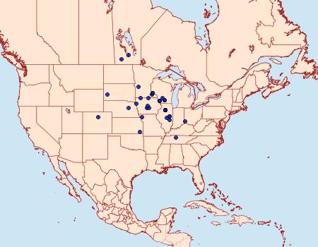 Distribution Data for Neoheliodines nyctaginella