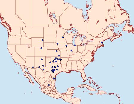 Distribution Data for Aetole tripunctella