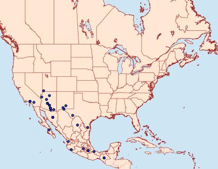 Distribution Data for Aetole unipunctella