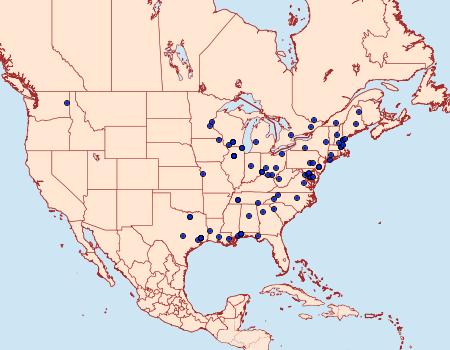 Distribution Data for Schreckensteinia erythriella