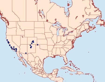 Distribution Data for Lithariapteryx abroniaeella