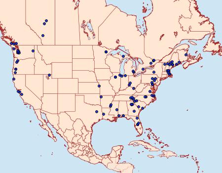 Distribution Data for Pennisetia marginatum