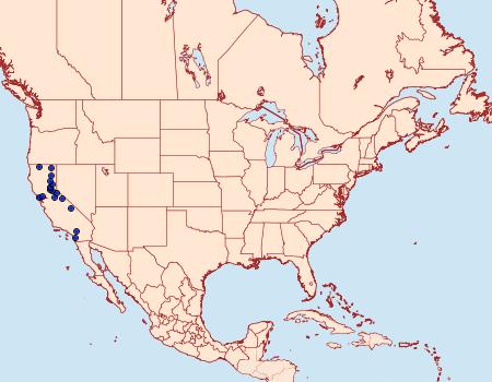 Distribution Data for Zenodoxus heucherae