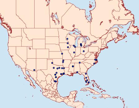 Distribution Data for Paranthrene dollii