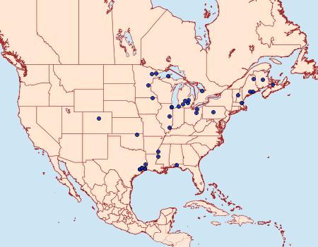 Distribution Data for Paranthrene tabaniformis