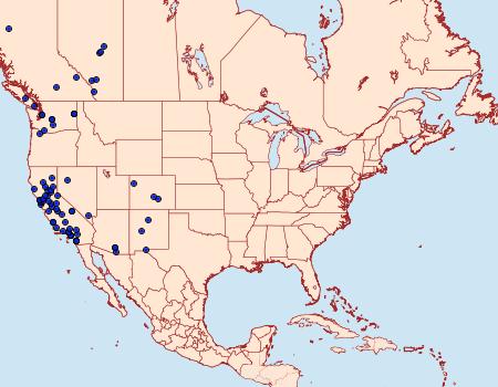 Distribution Data for Paranthrene robiniae