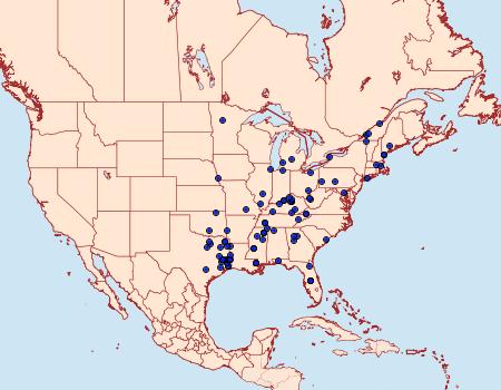 Distribution Data for Paranthrene simulans