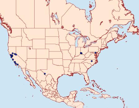 Distribution Data for Coptodisca saliciella