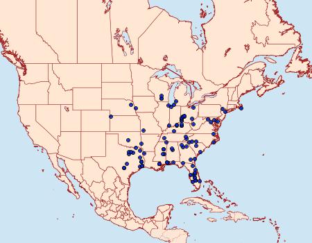 Distribution Data for Vitacea polistiformis