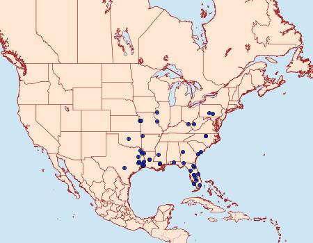 Distribution Data for Vitacea scepsiformis