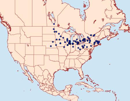 Distribution Data for Albuna fraxini