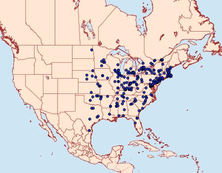 Distribution Data for Eichlinia cucurbitae