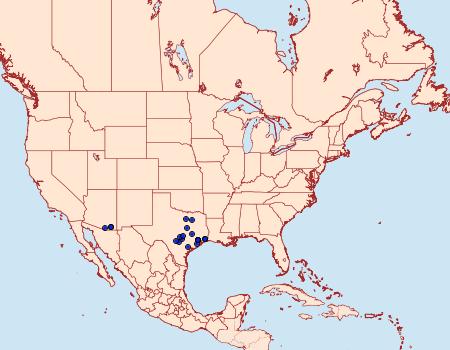 Distribution Data for Eichlinia calabaza