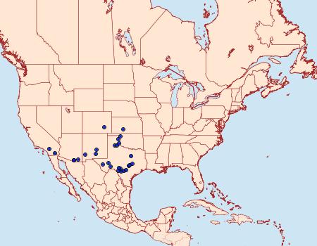 Distribution Data for Eichlinia grandis