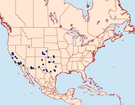 Distribution Data for Eichlinia gloriosa