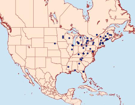 Distribution Data for Synanthedon acerrubri