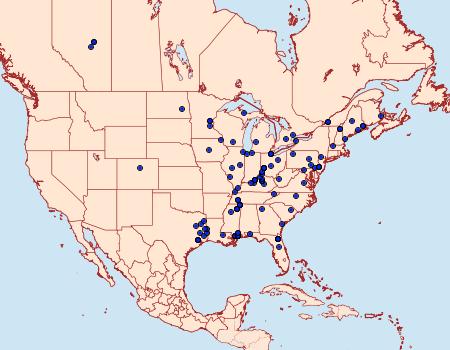 Distribution Data for Synanthedon pictipes