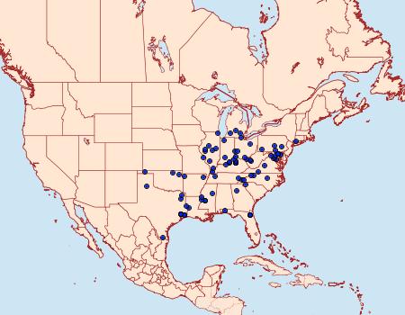 Distribution Data for Synanthedon rileyana