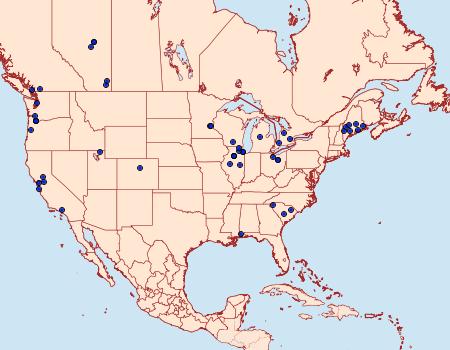 Distribution Data for Synanthedon tipuliformis