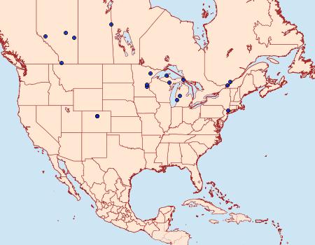 Distribution Data for Synanthedon bolteri