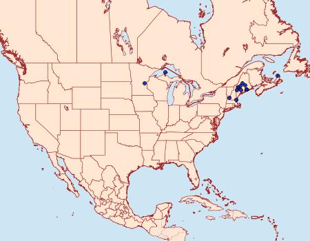 Distribution Data for Synanthedon fulvipes