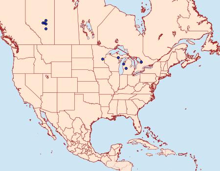 Distribution Data for Synanthedon helenis