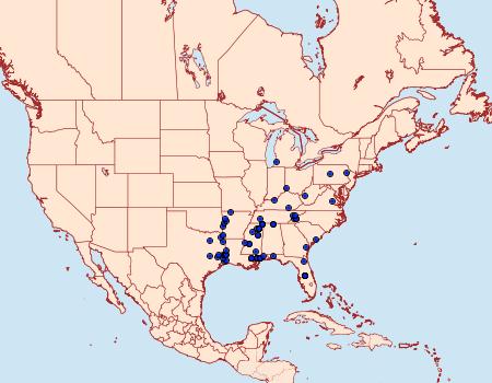 Distribution Data for Synanthedon rubrofascia