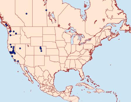 Distribution Data for Synanthedon albicornis