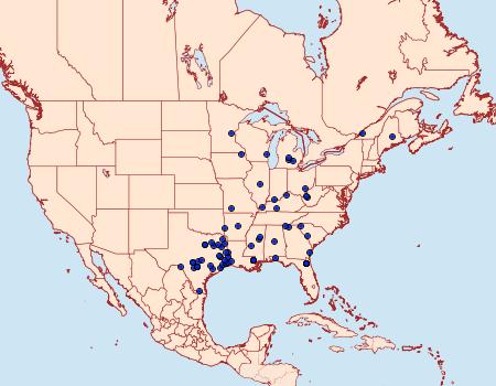 Distribution Data for Synanthedon decipiens