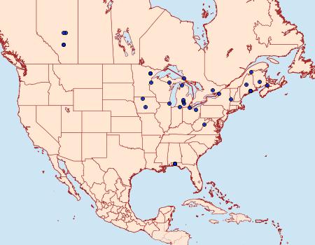 Distribution Data for Synanthedon proxima