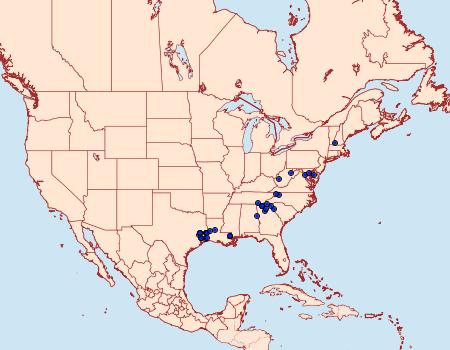 Distribution Data for Synanthedon kathyae