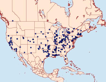 Distribution Data for Synanthedon exitiosa