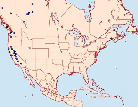 Distribution Data for Synanthedon novaroensis