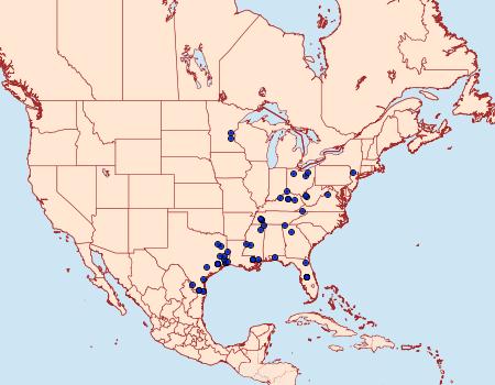 Distribution Data for Podosesia aureocincta