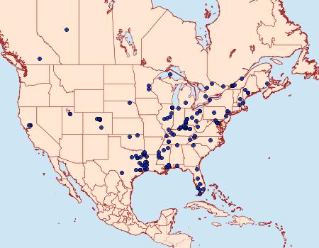 Distribution Data for Podosesia syringae