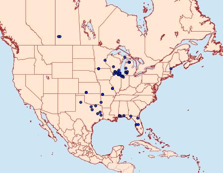 Distribution Data for Carmenta anthracipennis