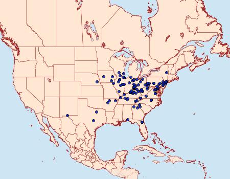 Distribution Data for Carmenta bassiformis