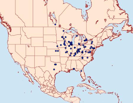 Distribution Data for Carmenta ithacae