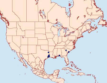 Distribution Data for Carmenta odda