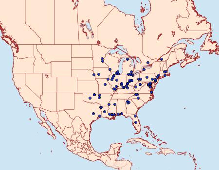 Distribution Data for Carmenta pyralidiformis