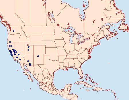 Distribution Data for Penstemonia clarkei