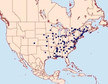 Distribution Data for Prochoreutis inflatella